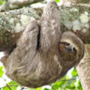 Meet your Posher, Parker